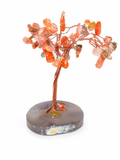Arbre d'Ancrage en Agate Rouge